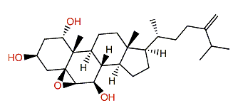 Sinugrandisterol C